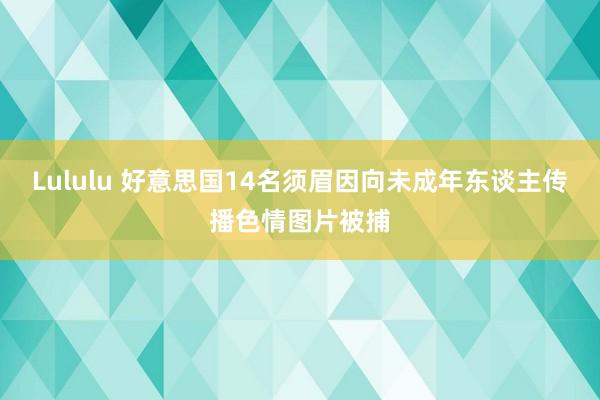 Lululu 好意思国14名须眉因向未成年东谈主传播色情图片被捕