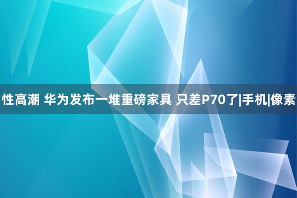 性高潮 华为发布一堆重磅家具 只差P70了|手机|像素