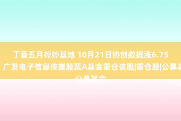 丁香五月婷婷基地 10月21日协创数据涨6.75%，广发电子信息传媒股票A基金重仓该股|重仓股|公募基金