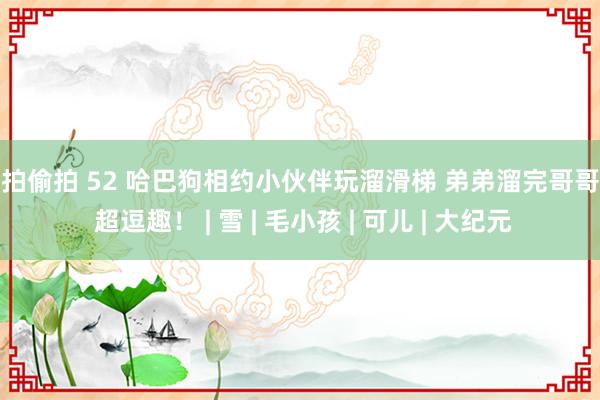 自拍偷拍 52 哈巴狗相约小伙伴玩溜滑梯 弟弟溜完哥哥溜 超逗趣！ | 雪 | 毛小孩 | 可儿 | 大纪元