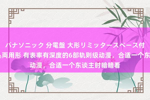 パナソニック 分電盤 大形リミッタースペース付 露出・半埋込両用形 有表率有深度的6部轨则级动漫，合适一个东谈主时暗暗看