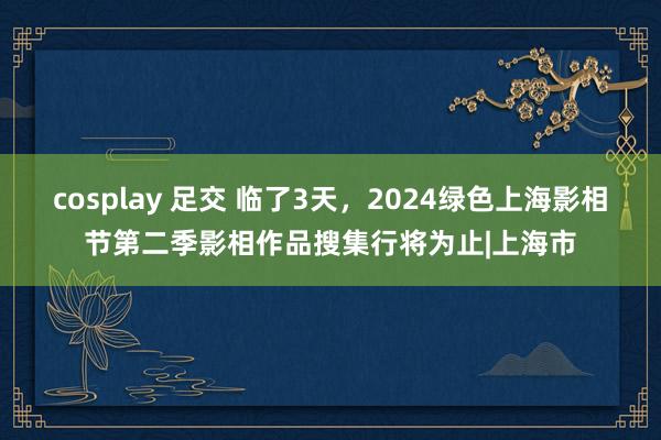 cosplay 足交 临了3天，2024绿色上海影相节第二季影相作品搜集行将为止|上海市