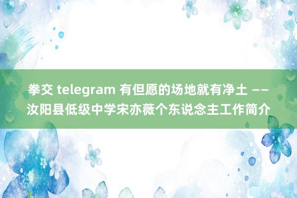 拳交 telegram 有但愿的场地就有净土 ——汝阳县低级中学宋亦薇个东说念主工作简介