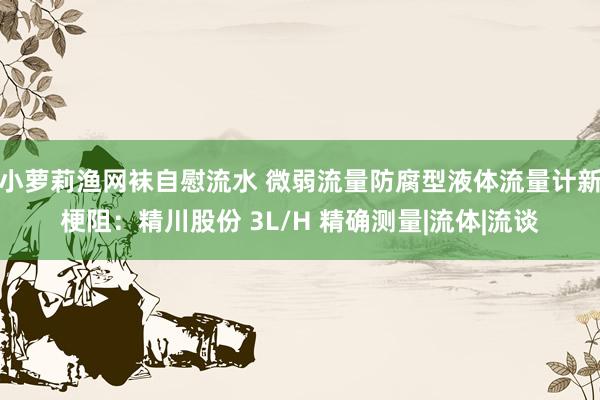 小萝莉渔网袜自慰流水 微弱流量防腐型液体流量计新梗阻：精川股份 3L/H 精确测量|流体|流谈