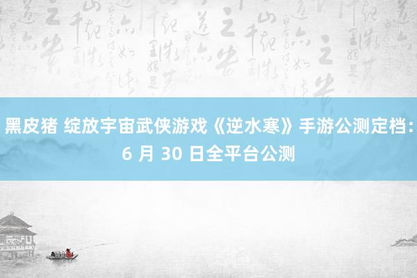 黑皮猪 绽放宇宙武侠游戏《逆水寒》手游公测定档：6 月 30 日全平台公测