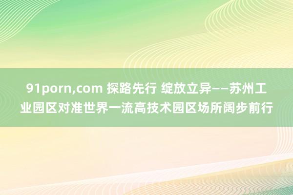 91porn，com 探路先行 绽放立异——苏州工业园区对准世界一流高技术园区场所阔步前行